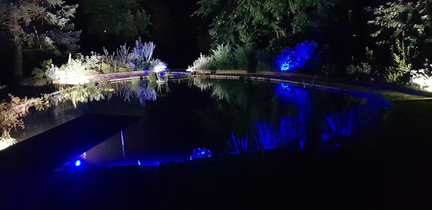 Éclairage extérieur coloré autour d'un bassin de jardin